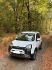 /img/carsfr/fiat/panda_4x4/2023/pic.jpg