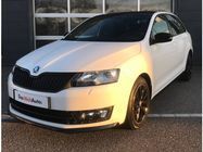 /img/carsfr/skoda/rapid_spaceback/2017/pic.jpg