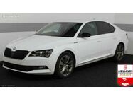 /img/carsfr/skoda/superb/2021/pic.jpg